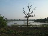 Yala National Park